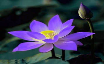 Sự thật mất lòng